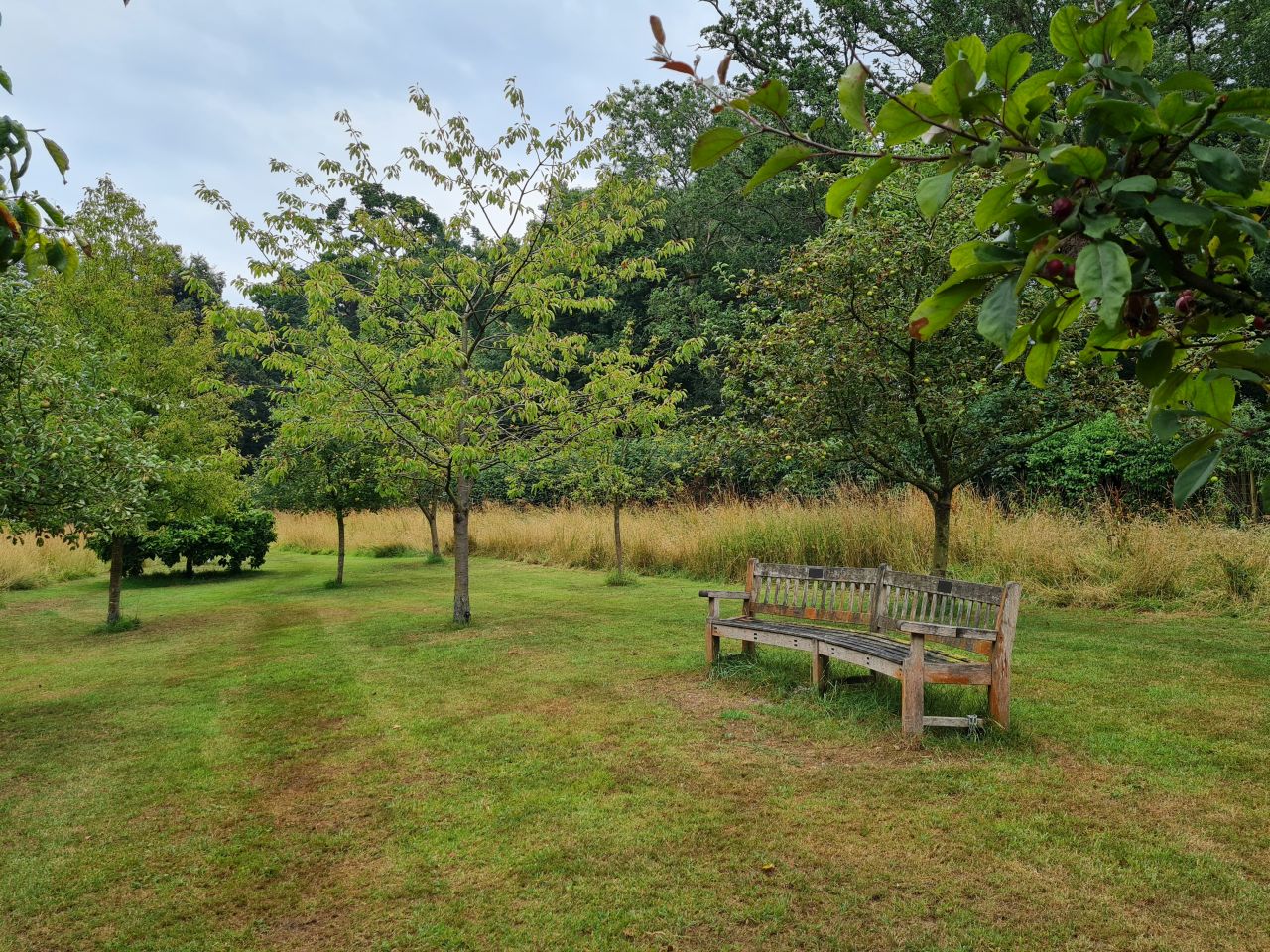 2025-07-19 08 Harleston Redenhall Mendham and Starston.jpg