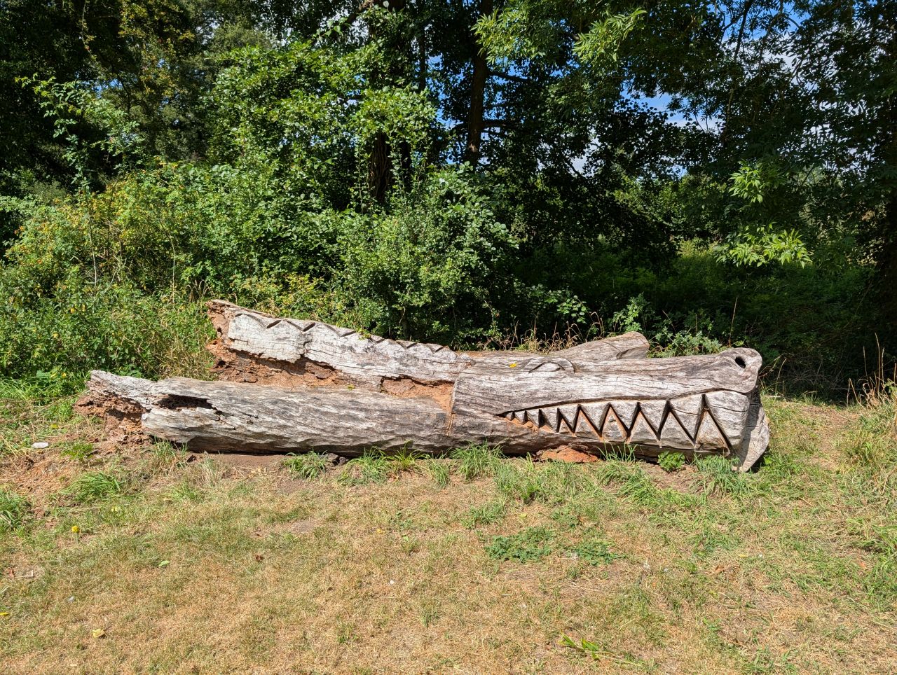 2025-08-16 07 Brockdish to Harleston.jpg