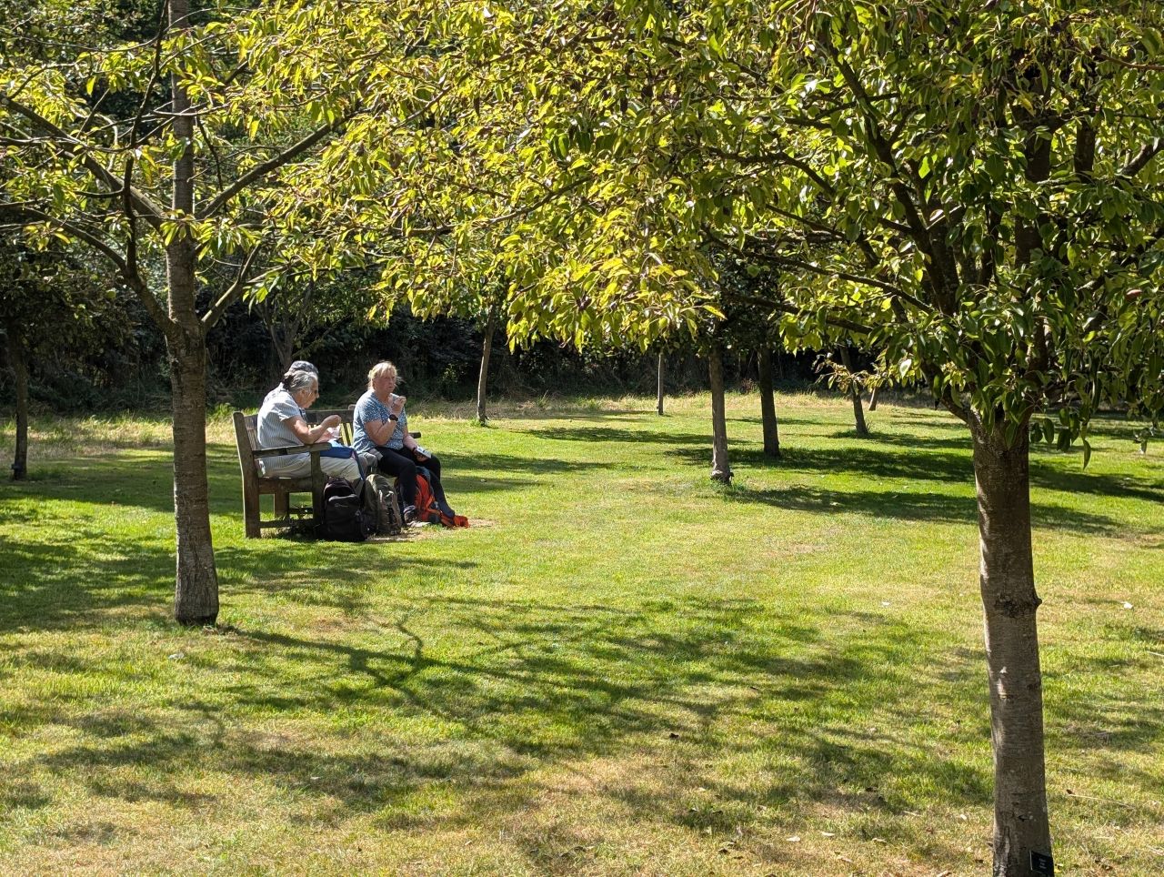 2025-08-16 12 Brockdish to Harleston.jpg