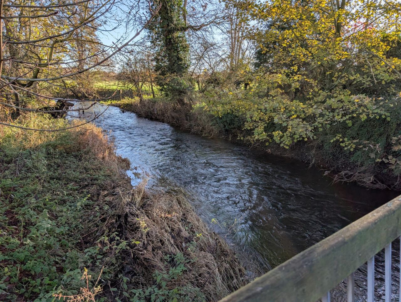 2025-11-30 01 Harleston and Weybread.jpg