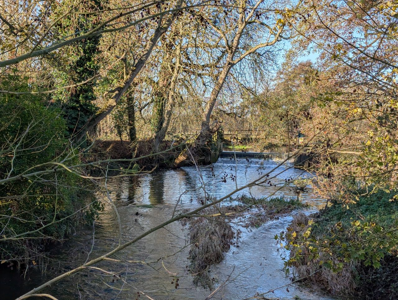 2025-11-30 04 Harleston and Weybread.jpg