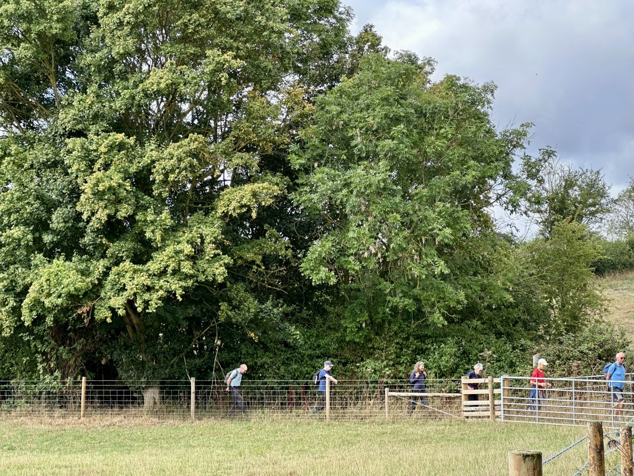 2026-08-30 01 Harleston Alburgh Starston.jpg