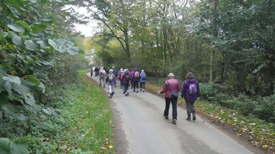 2017-11-02 03 Wensum Group at Morningthorpe.jpg