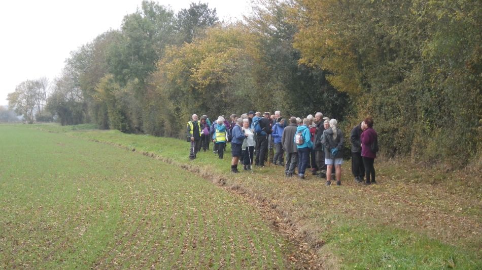 2017-11-02 04 Wensum Group at Morningthorpe.jpg