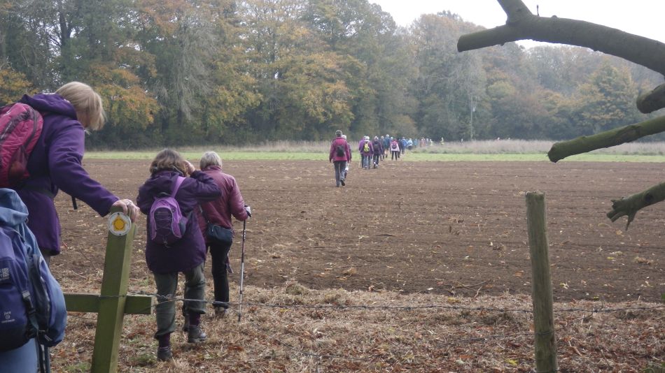 2017-11-02 11 Wensum Group at Morningthorpe.jpg