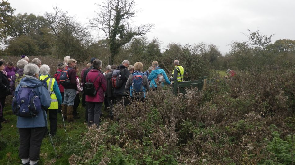 2017-11-02 14 Wensum Group at Morningthorpe.jpg