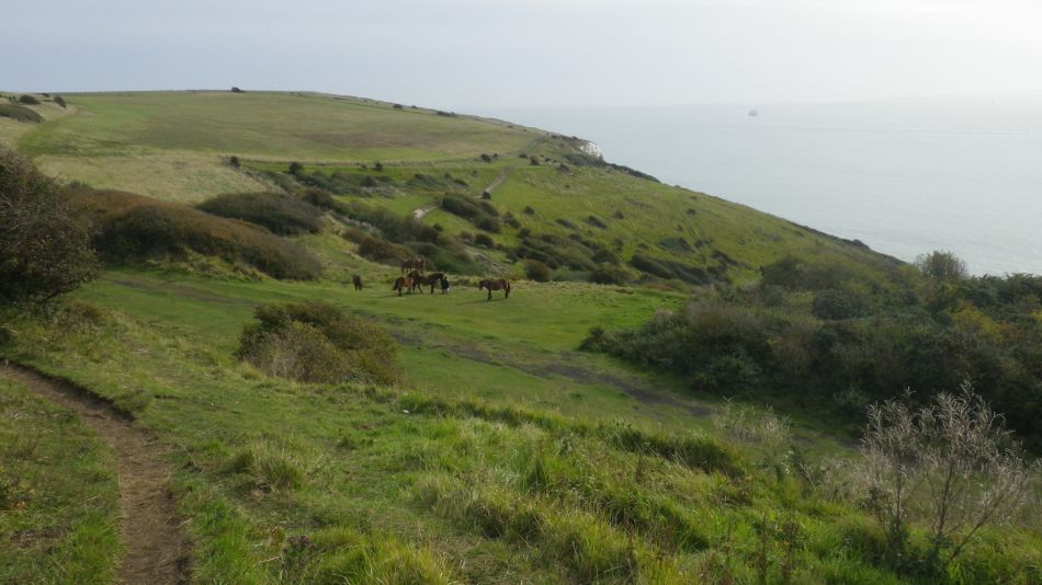 2017-09-30 28 Dover to Deal Walk.jpg