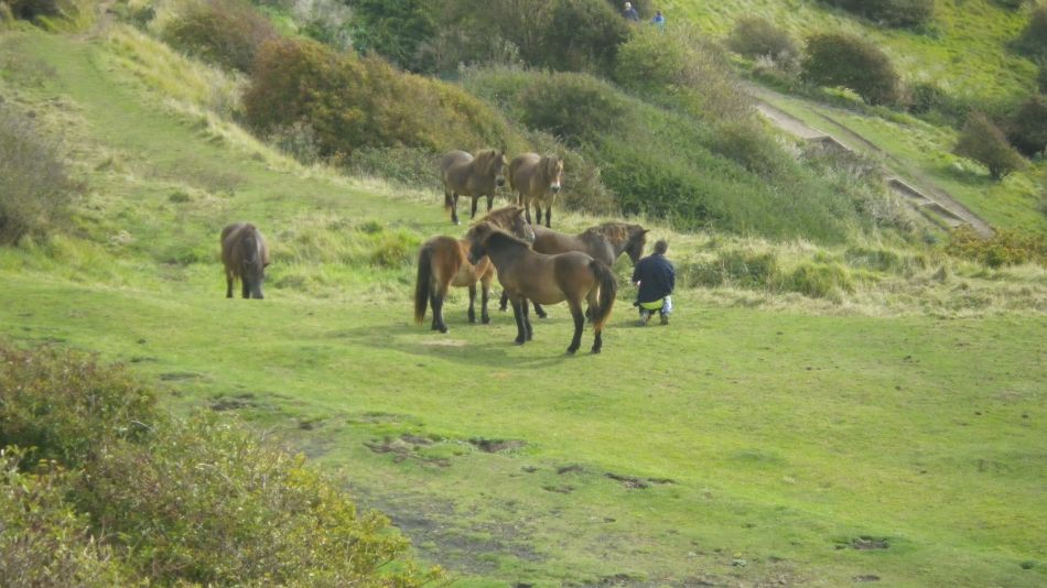 2017-09-30 29 Dover to Deal Walk.jpg