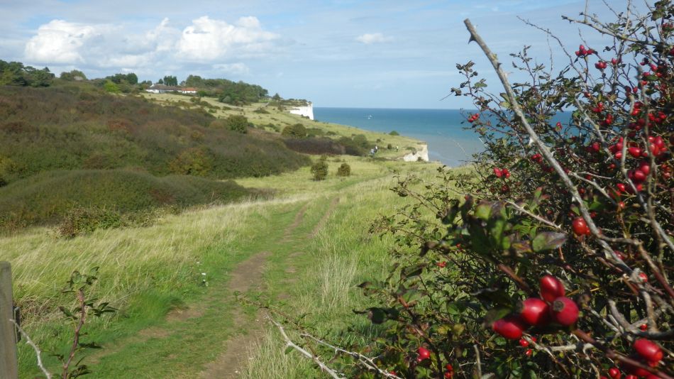 2017-09-30 47 Dover to Deal Walk.jpg