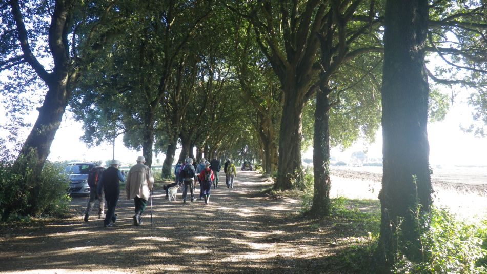 2018-09-27 01 Holkham Wells and Burnam Overy.jpg