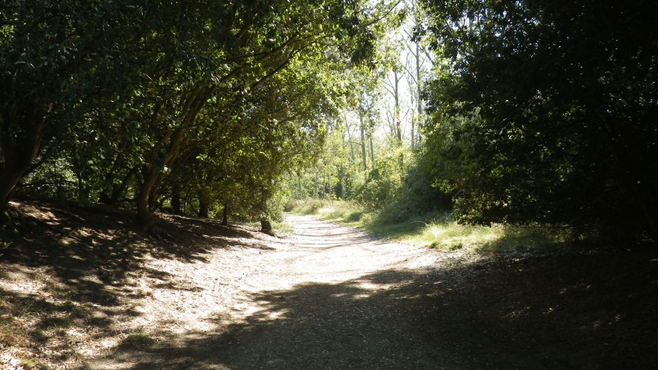 2018-09-27 17 Holkham Wells and Burnam Overy.jpg