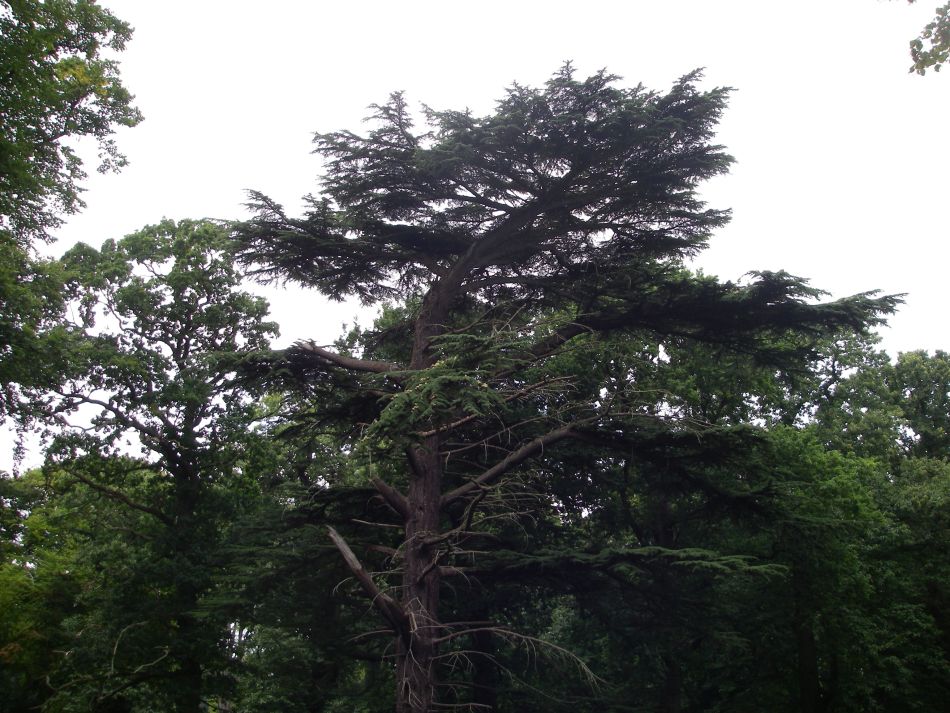 2022-11-15 04 Holkham Estate November 2000.jpg