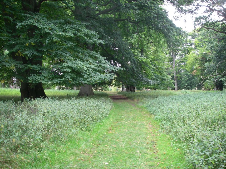 2022-11-15 05 Holkham Estate November 2000.jpg