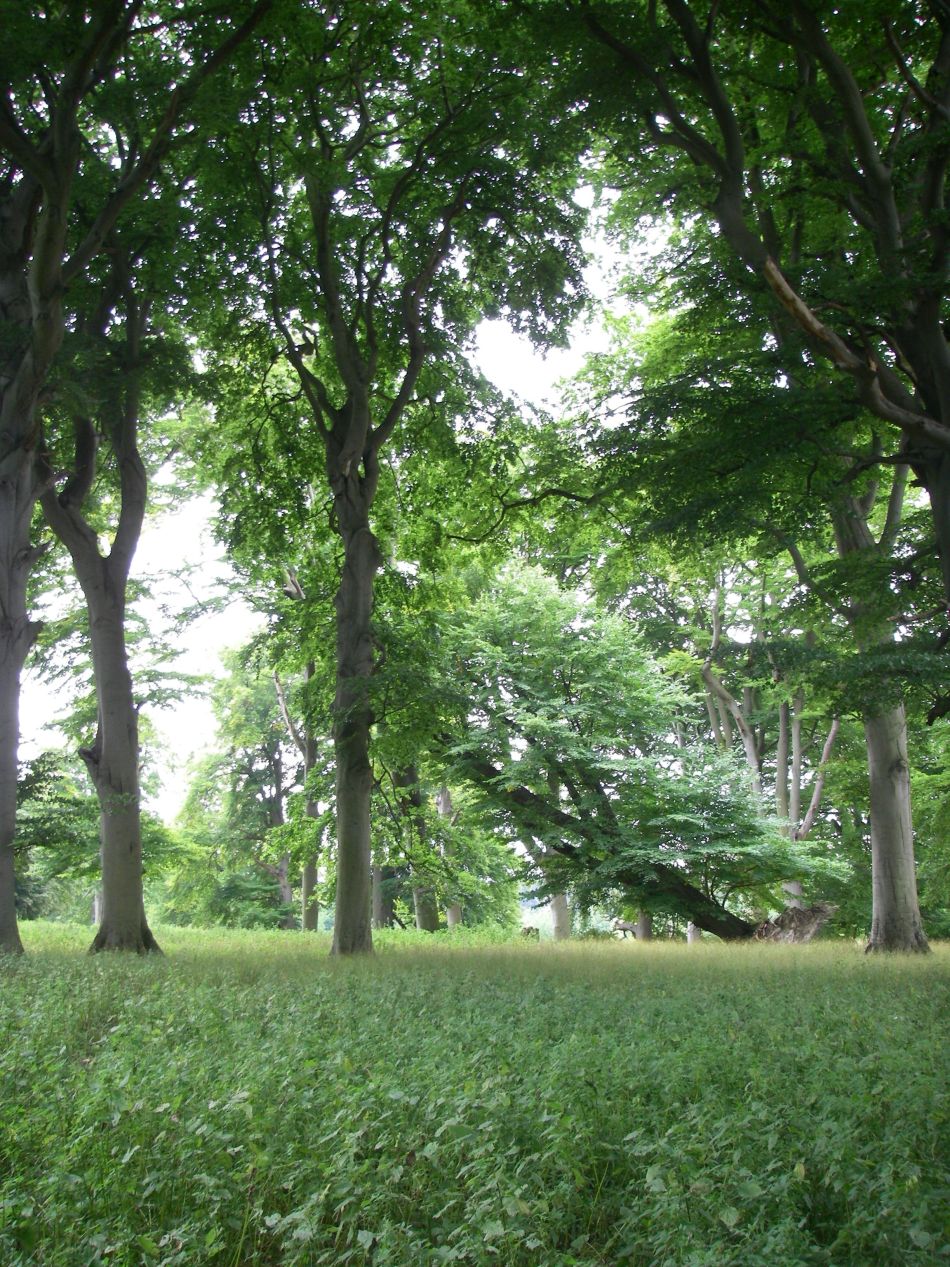 2022-11-15 07 Holkham Estate November 2000.jpg