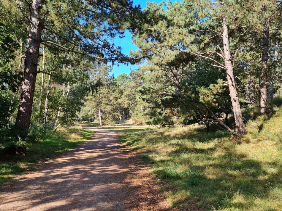 2023-09-16 18 Holkham and Wells.jpg