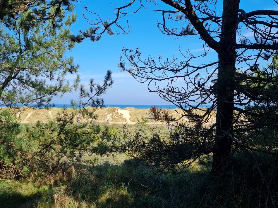 2023-09-16 20 Holkham and Wells.jpg