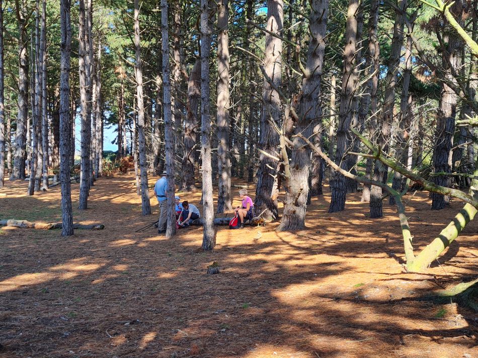 2023-09-16 26 Holkham and Wells.jpg