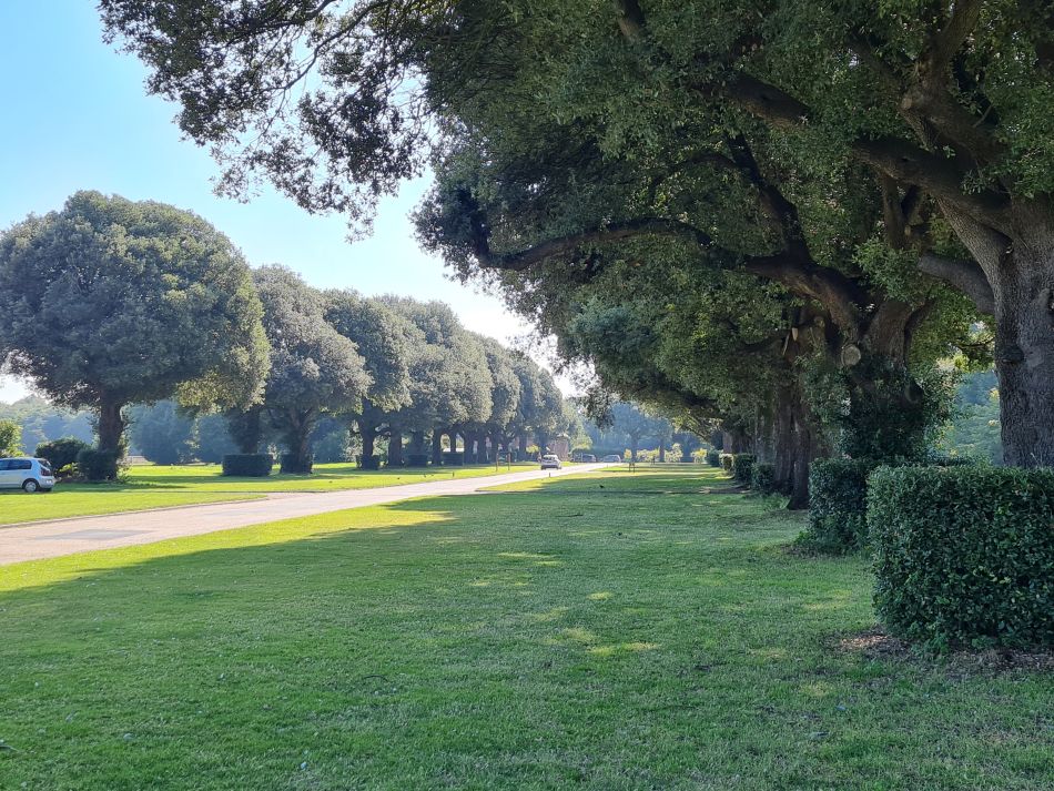 2023-09-16 28 Holkham and Wells.jpg