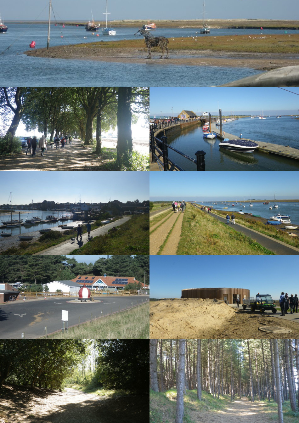 2023-09-16 98 Image.jpg