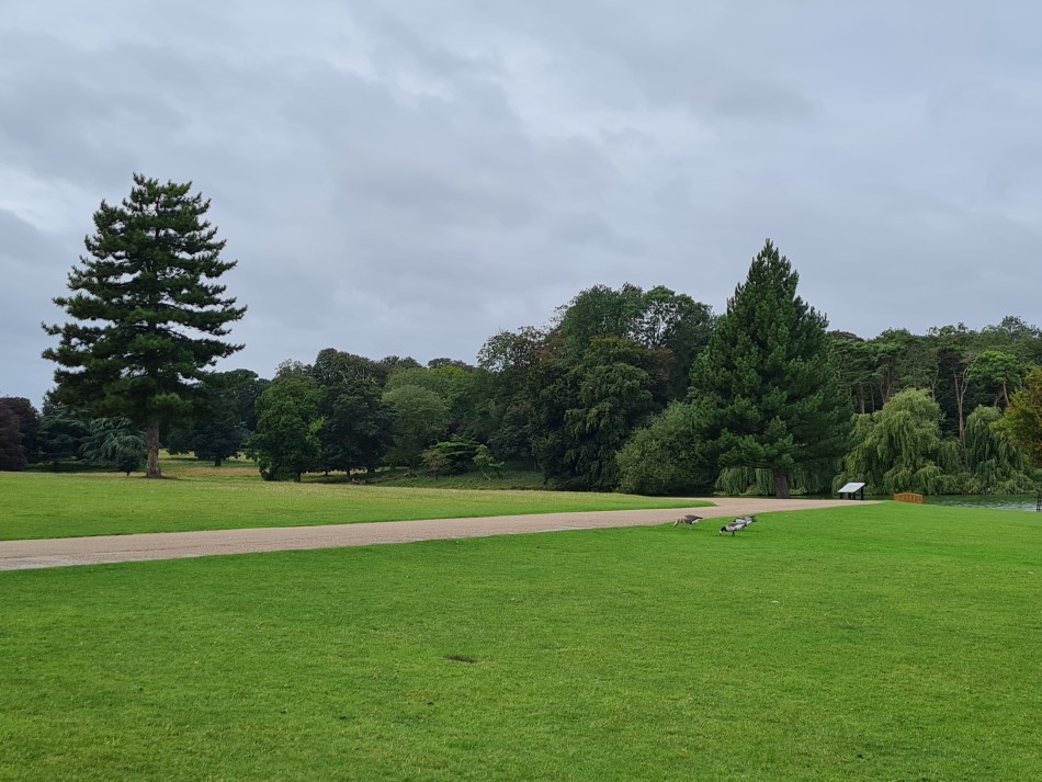 2023-09-19 07 Holkham Estate.jpg
