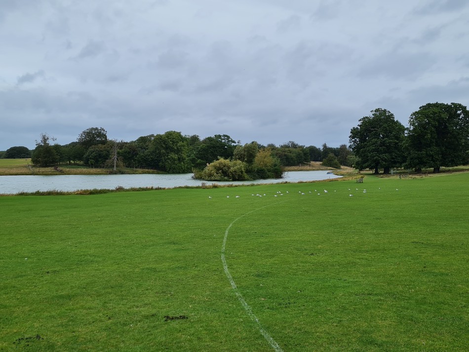 2023-09-19 08 Holkham Estate.jpg