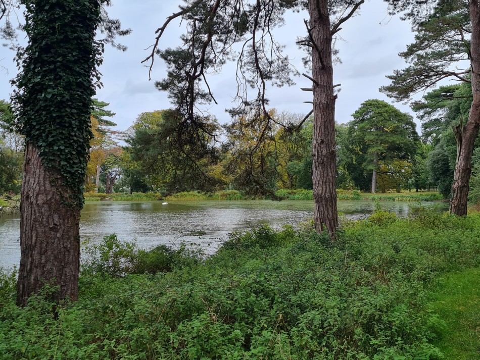 2023-09-19 10 Holkham Estate.jpg