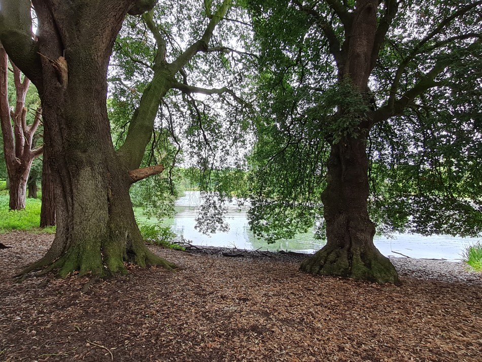2023-09-19 11 Holkham Estate.jpg