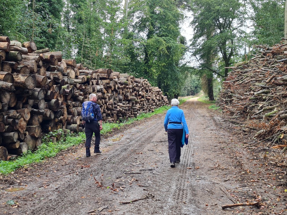 2023-09-19 21 Holkham Estate.jpg