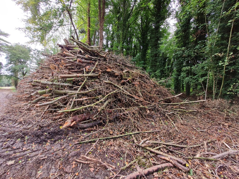 2023-09-19 22 Holkham Estate.jpg