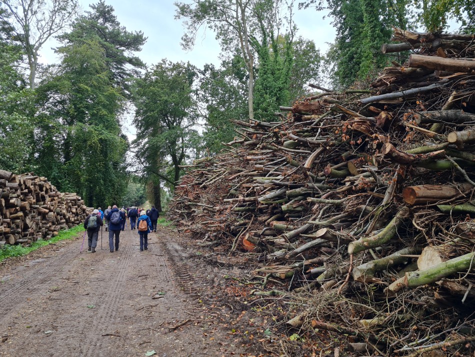 2023-09-19 24 Holkham Estate.jpg