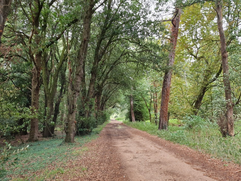 2023-09-19 30 Holkham Estate.jpg