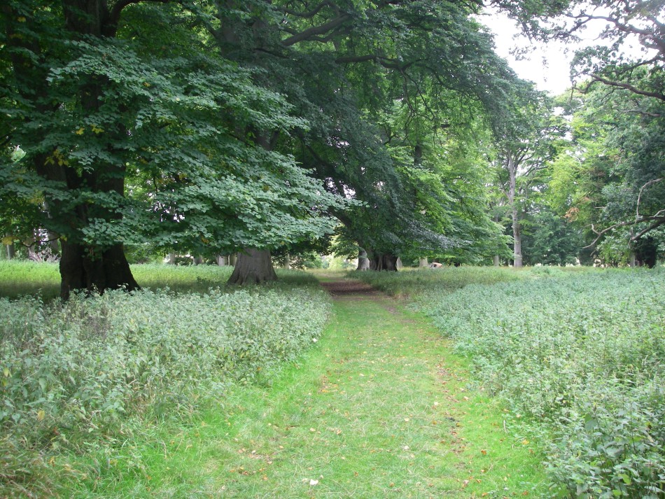 2023-09-19 36 Holkham Estate.jpg