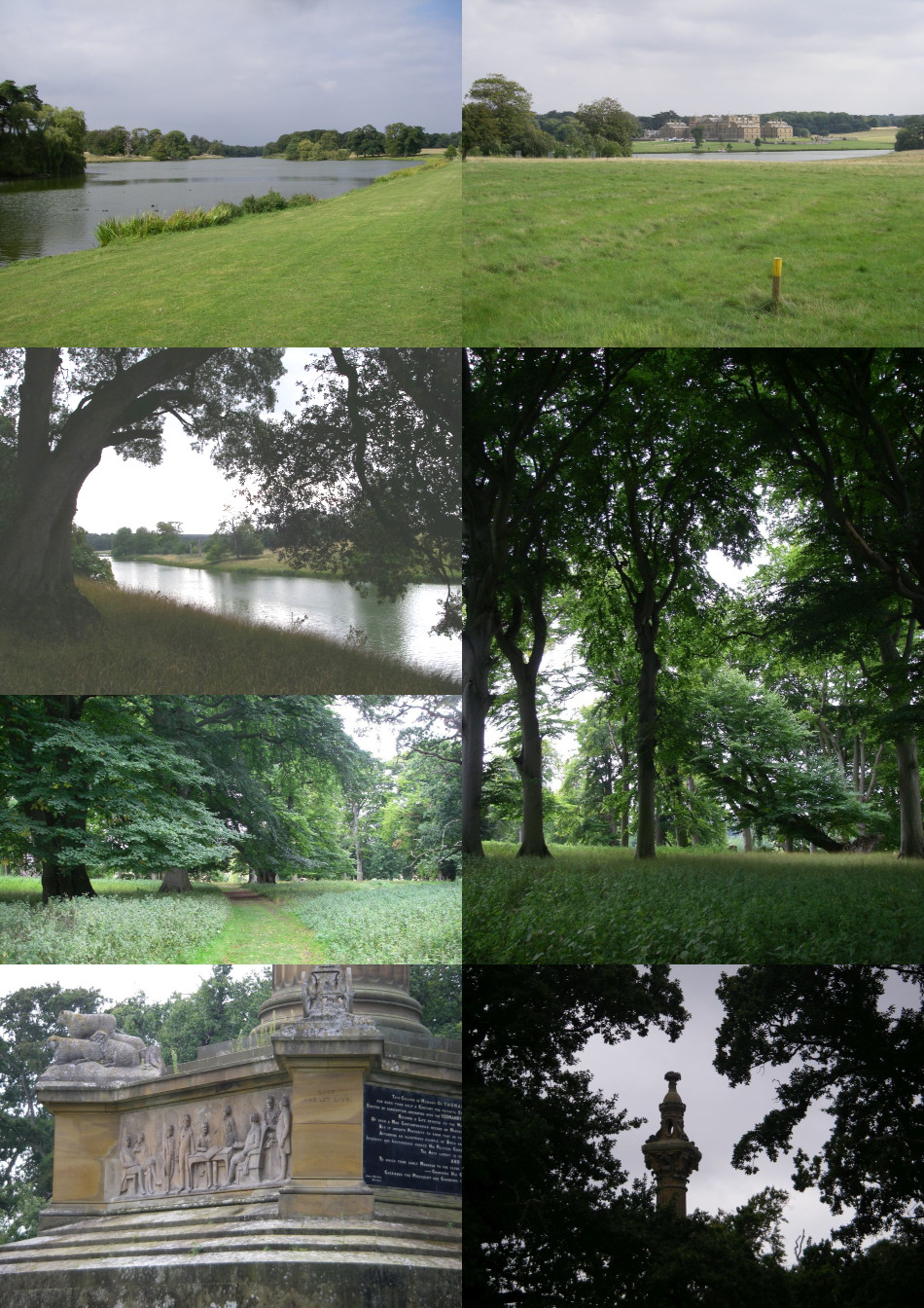 2023-09-19 98 Image.jpg