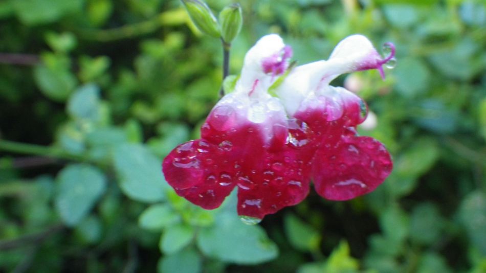 2016-11-13 14 Beccles Circumnavigation.jpg