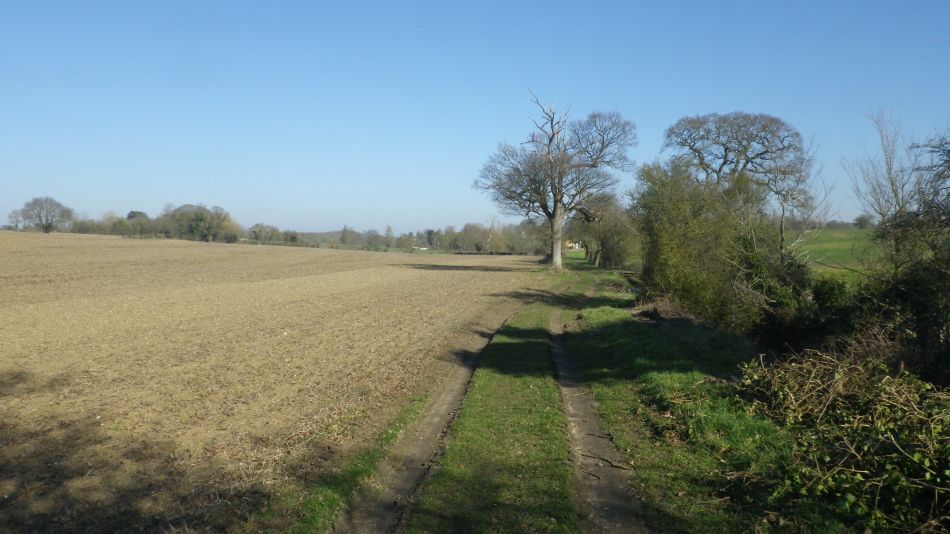 2019-02-24 03 Beccles Weston Ringsfield.JPG