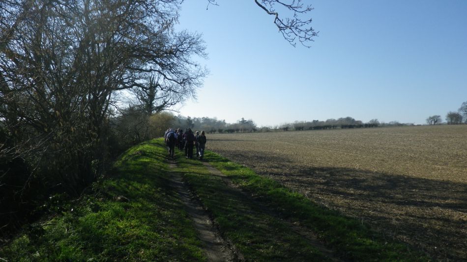 2019-02-24 04 Beccles Weston Ringsfield.JPG