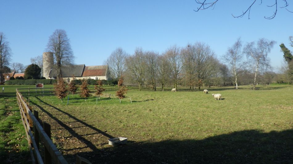 2019-02-24 05 Beccles Weston Ringsfield.JPG