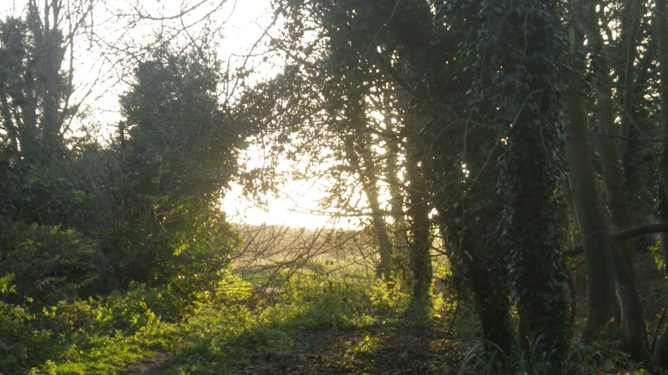 2019-12-08 15 Beccles Saint Andrew Redisham.jpg