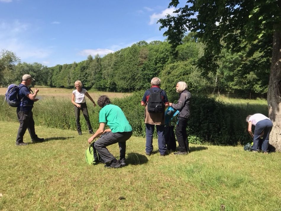 2022-06-19 04 Redisham Park.jpg