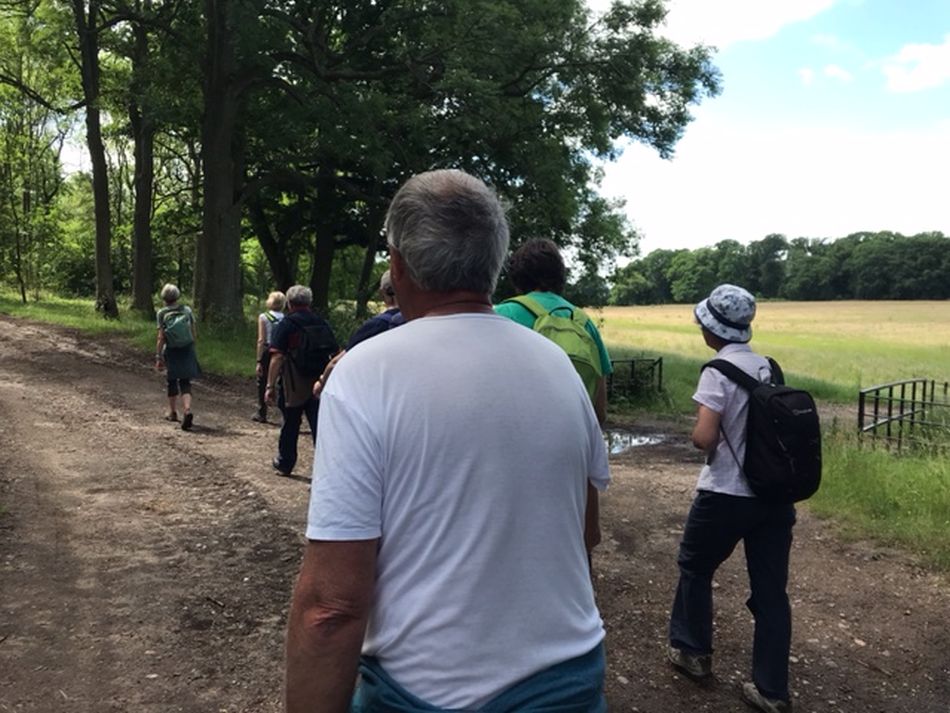 2022-06-19 06 Redisham Park.jpg