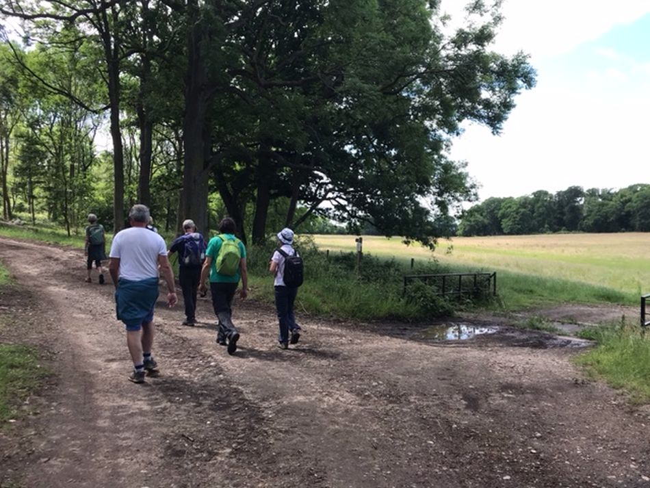 2022-06-19 07 Redisham Park.jpg