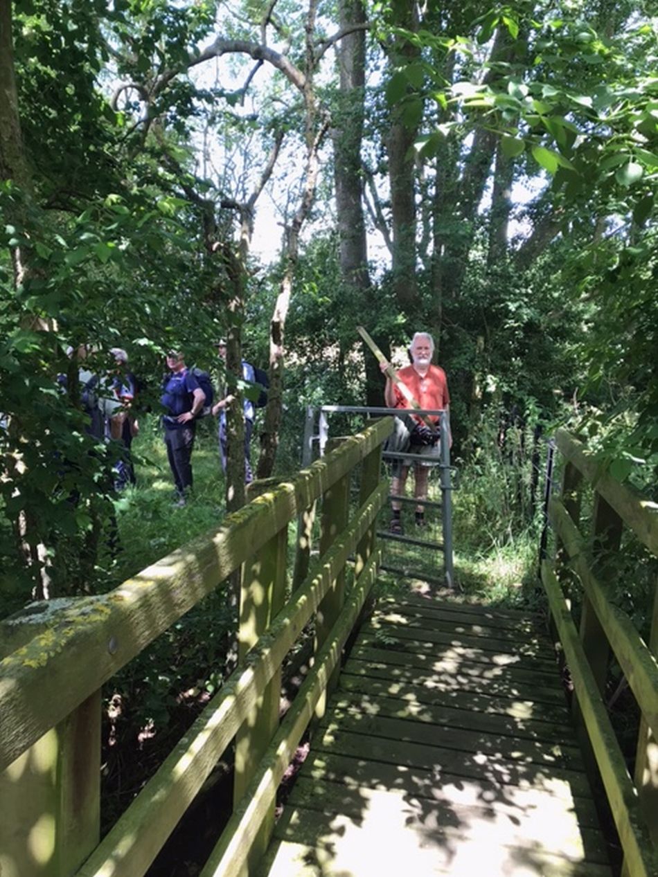 2022-06-19 08 Redisham Park.jpg