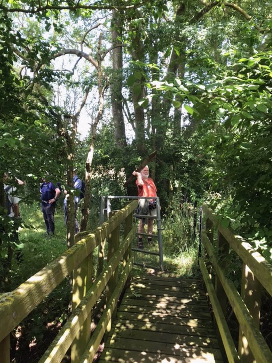 2022-06-19 09 Redisham Park.jpg