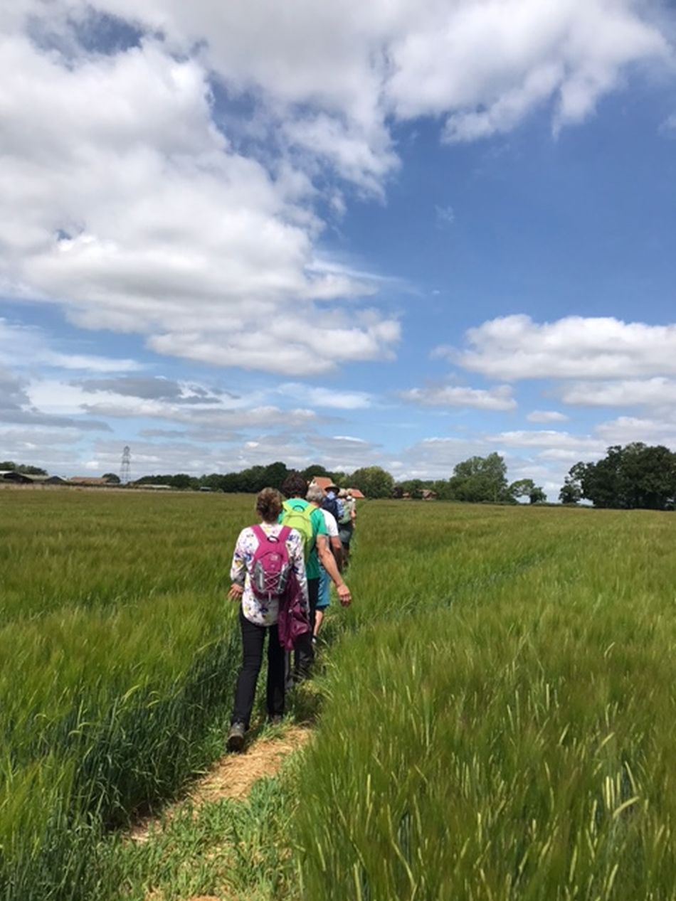 2022-06-19 13 Redisham Park.jpg