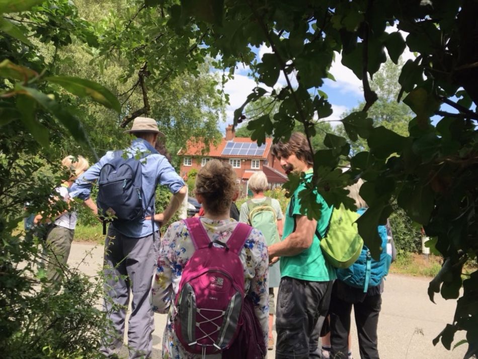 2022-06-19 14 Redisham Park.jpg