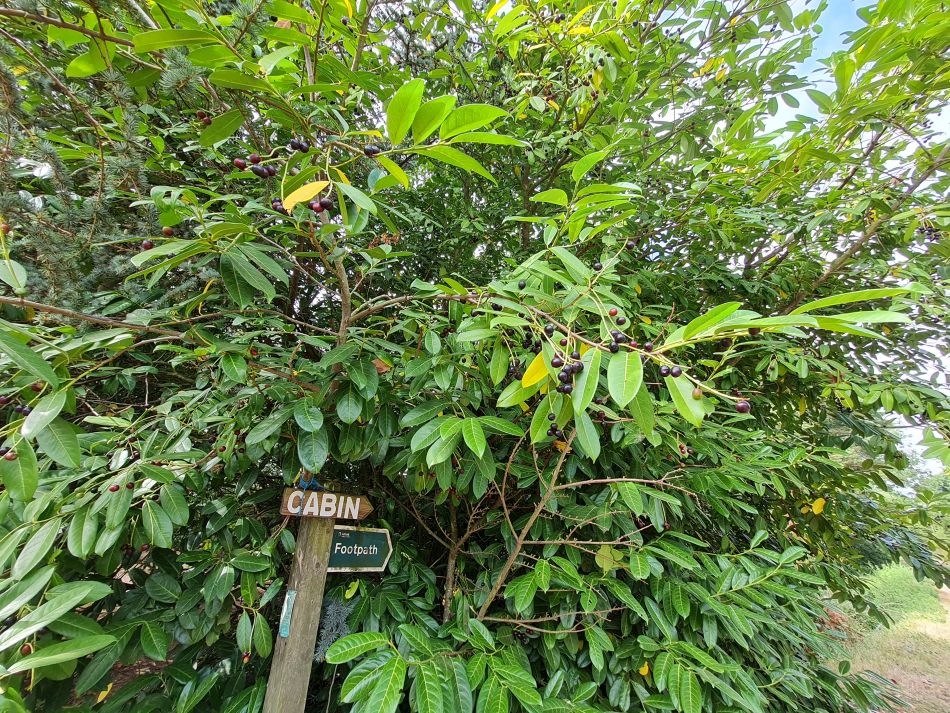 2022-08-18 02 Angles Way 19 - Beccles West.jpg