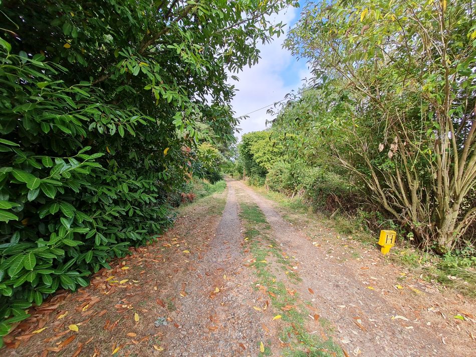 2022-08-18 03 Angles Way 19 - Beccles West.jpg