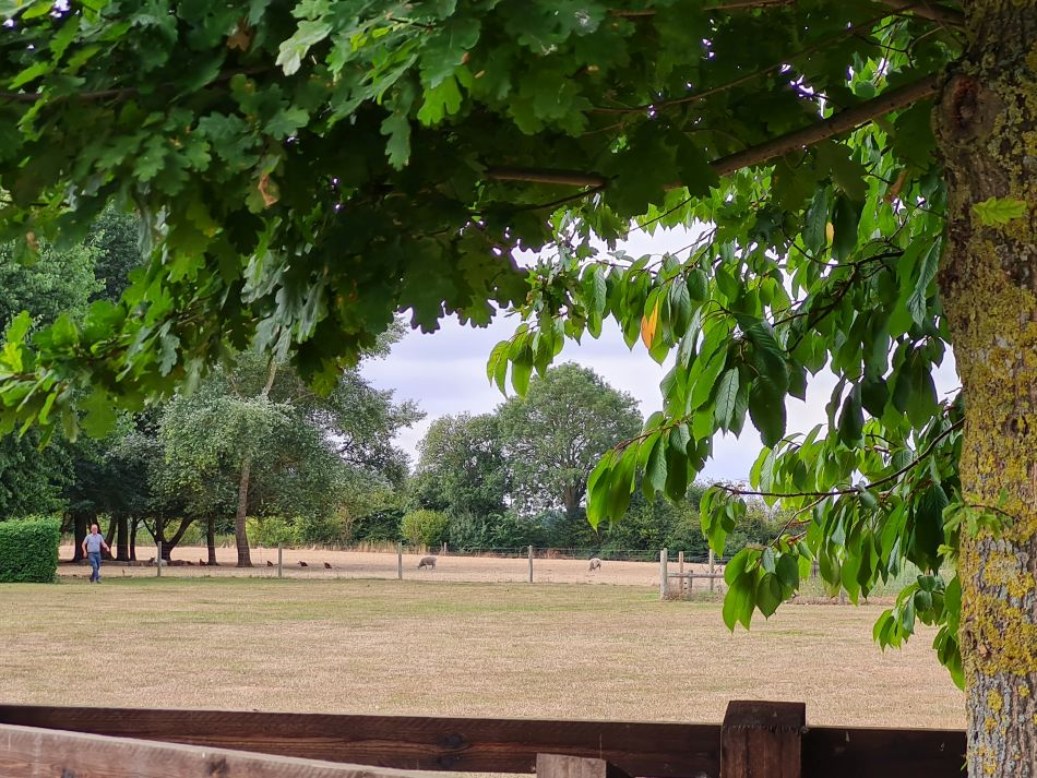 2022-08-18 04 Angles Way 19 - Beccles West.jpg