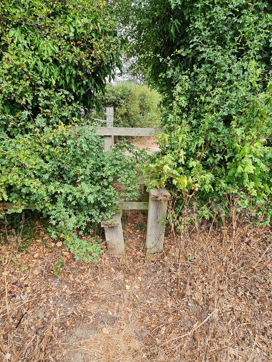 2022-08-18 05 Angles Way 19 - Beccles West.jpg