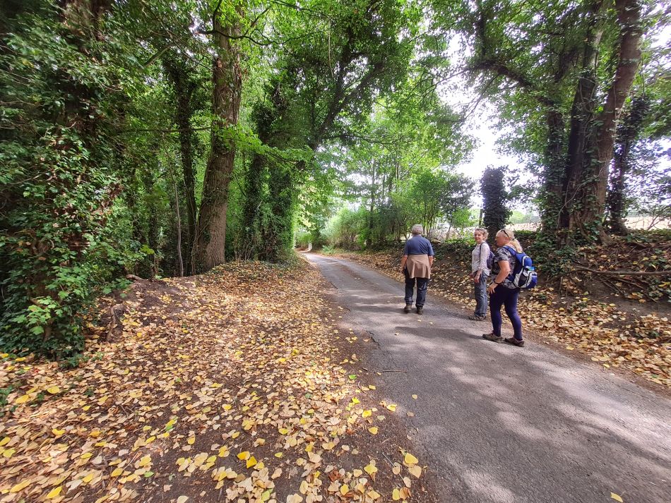 2022-08-18 07 Angles Way 19 - Beccles West.jpg